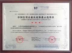 中国信用企业体系认证示范单位